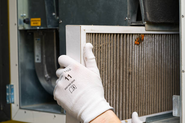 Best Air Quality Test  in Hull, IA