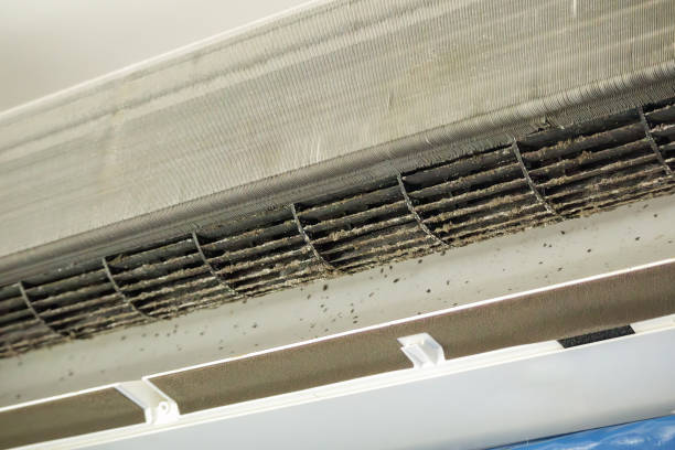 Best General Air Duct Cleaning  in Hull, IA
